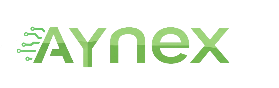 Aynex Digital Solutions Logo